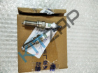 ����� ��������� (1��) ���������