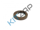 ������� ����������� �������� 