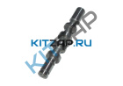 ������ ����